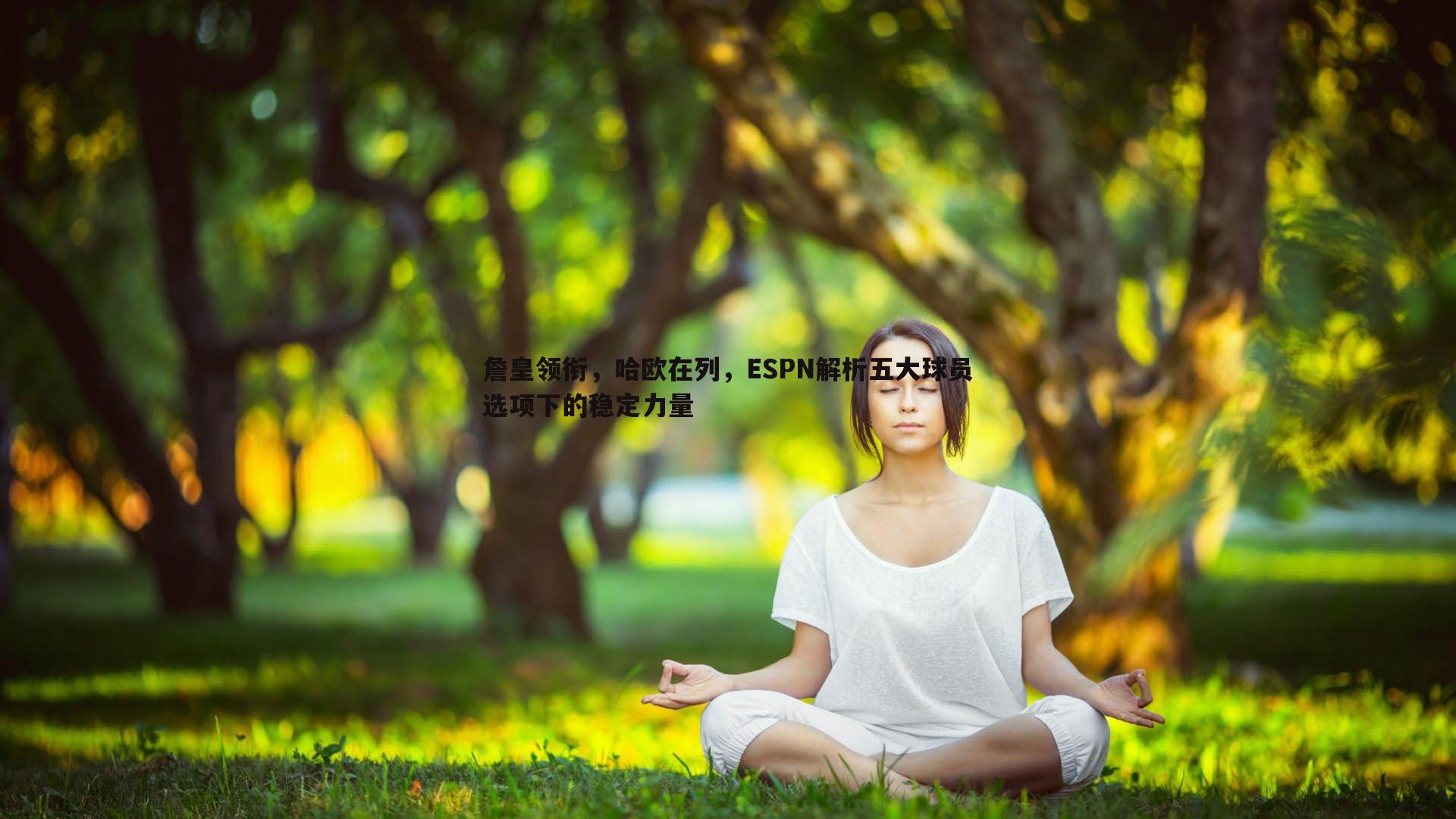 熊猫体育-詹皇领衔，哈欧在列，ESPN解析五大球员选项下的稳定力量