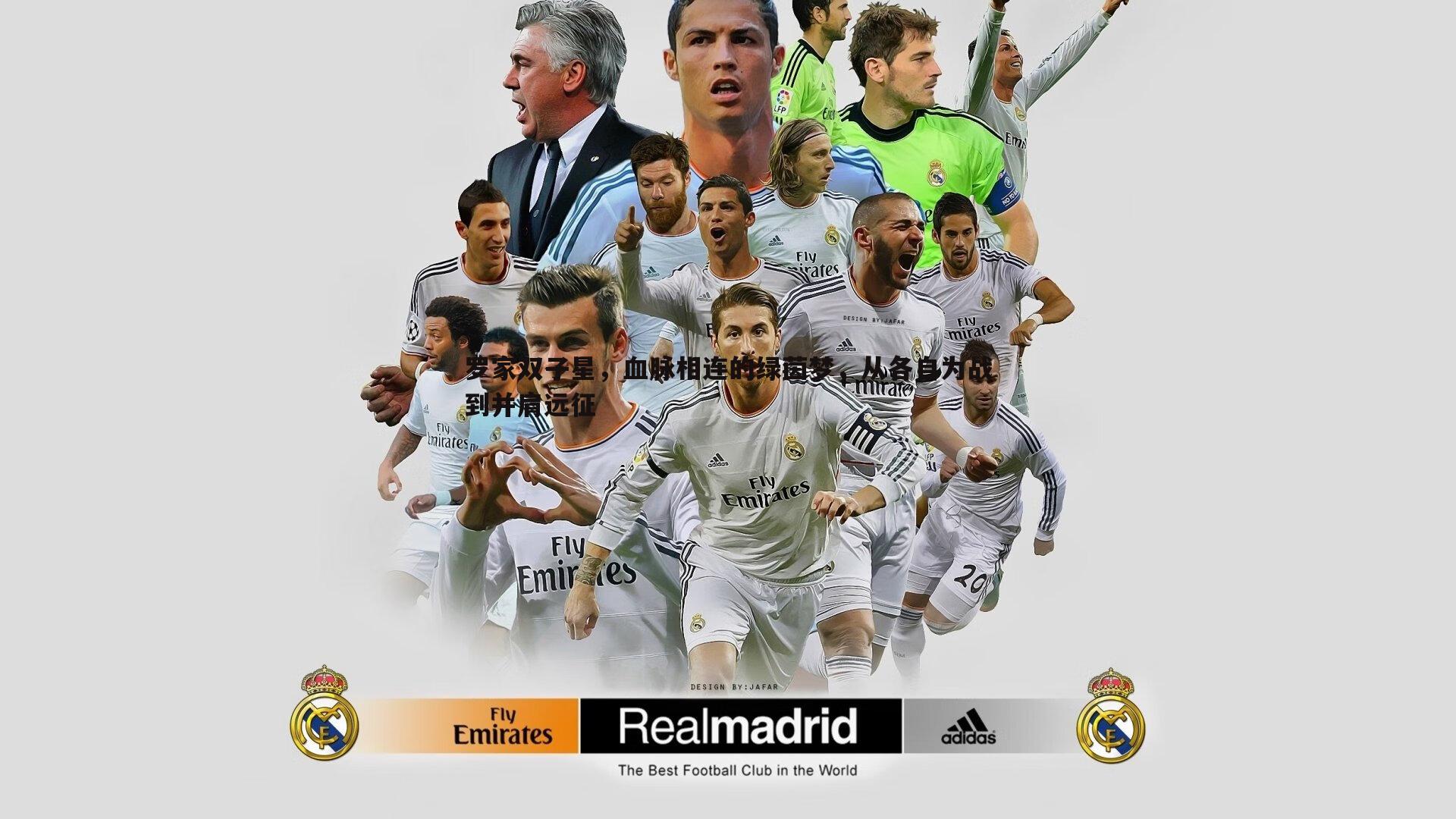 罗家双子星,血脉相连的绿茵梦,从各自为战到并肩远征